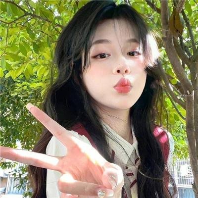 兔子镇的火狐狸